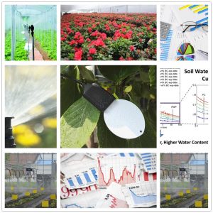 LWS10-Leaf Wetness Sensor, SDI-12 Interface