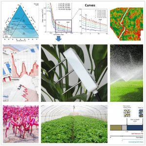 [Resource] MEC20 Soil Moisture, EC, Temperature Sensor, RS485 Modbus, Analog Voltage, Analog Current Interface