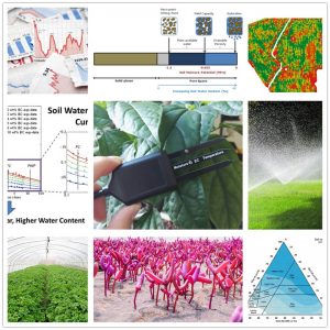 [Resource] MT10A/MT10B Soil Moisture, EC and Temperature Sensor, SDI-12