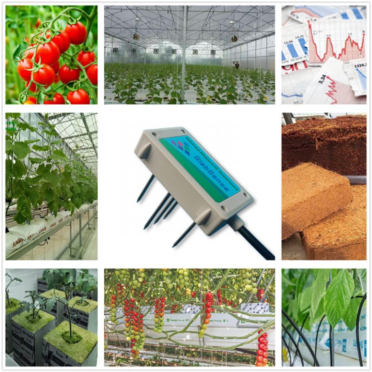 Hydroponic Moisture Sensor for rockwool and cocopeat