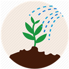 Soil Moisture & Temperature